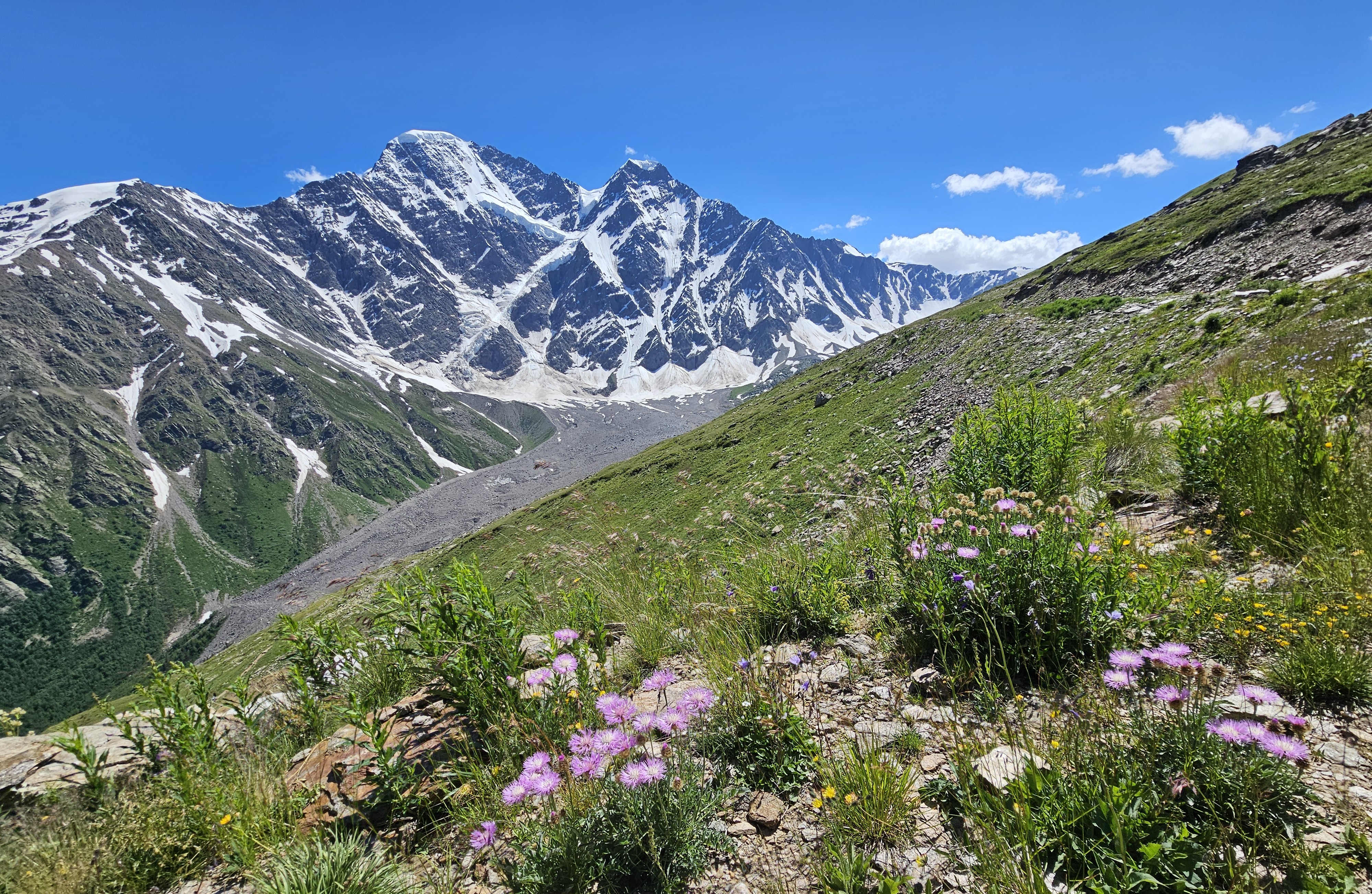 Cheget